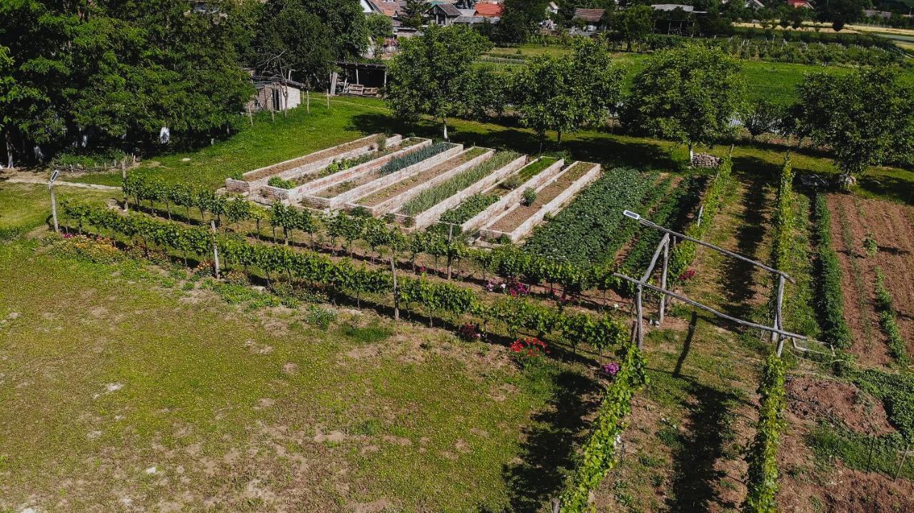 Sobe Kod Baje - Baranjska Kuca Bed & Breakfast Karanac Bagian luar foto