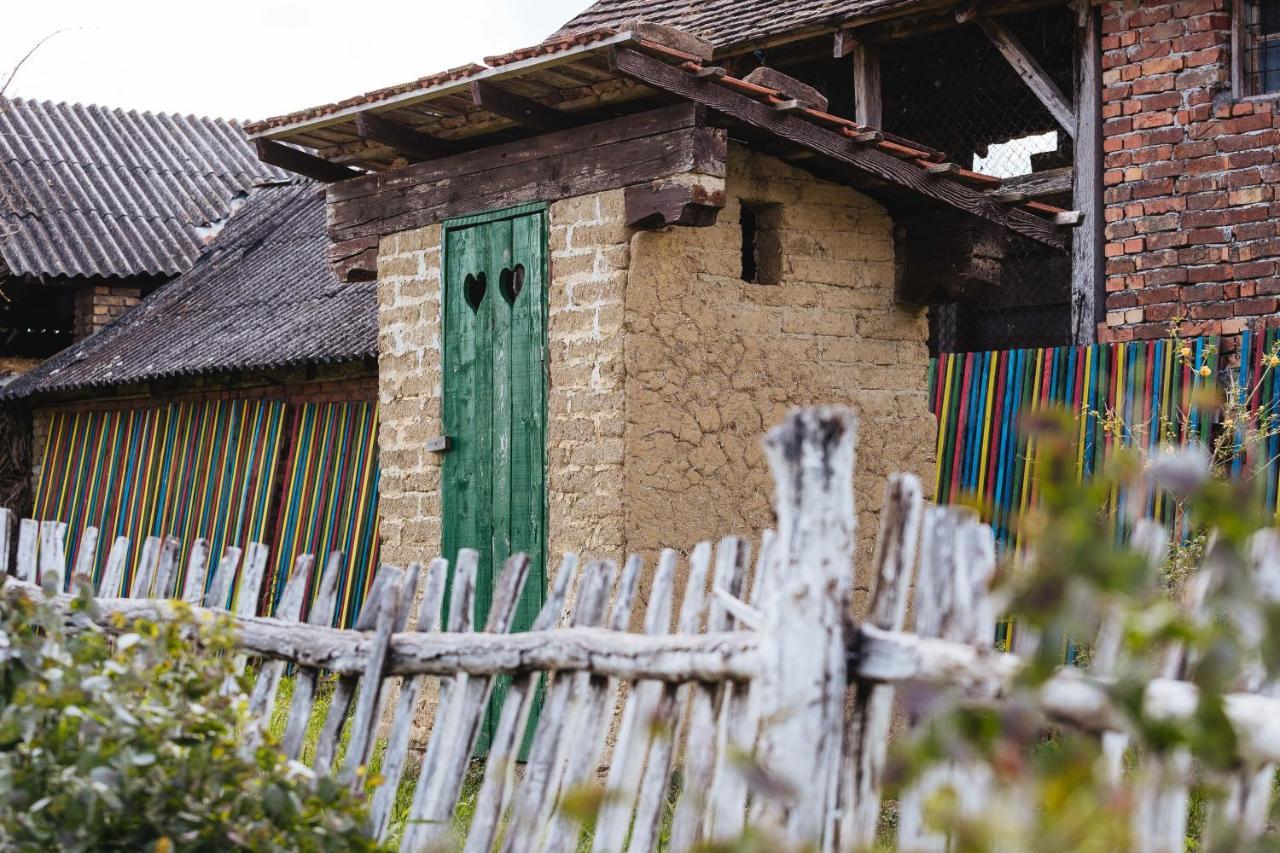 Sobe Kod Baje - Baranjska Kuca Bed & Breakfast Karanac Bagian luar foto