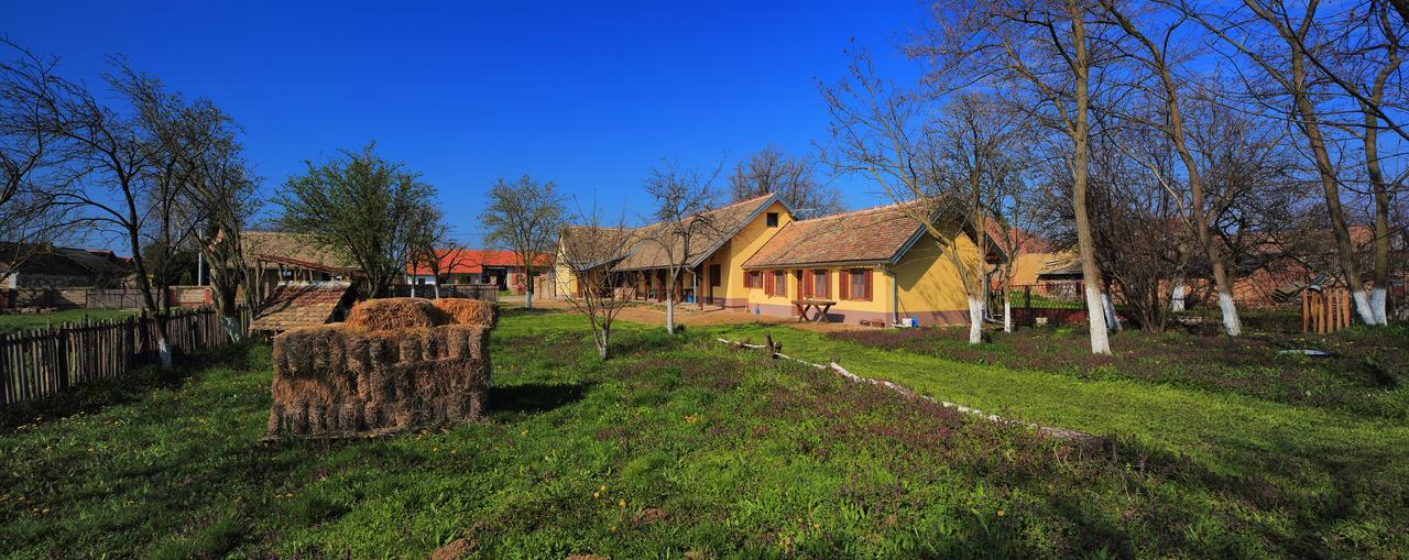 Sobe Kod Baje - Baranjska Kuca Bed & Breakfast Karanac Bagian luar foto