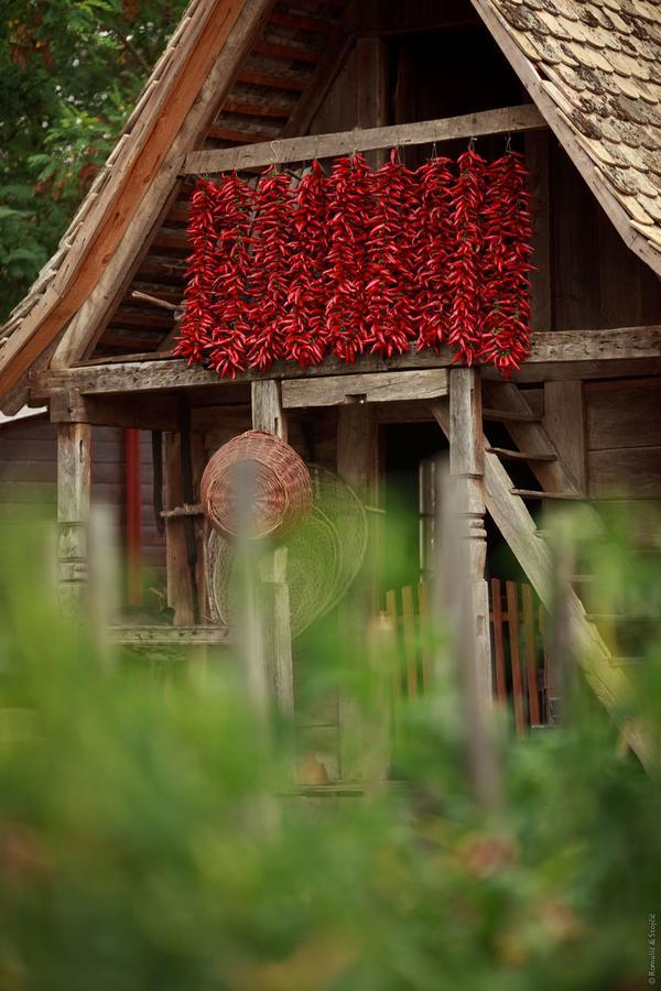 Sobe Kod Baje - Baranjska Kuca Bed & Breakfast Karanac Bagian luar foto